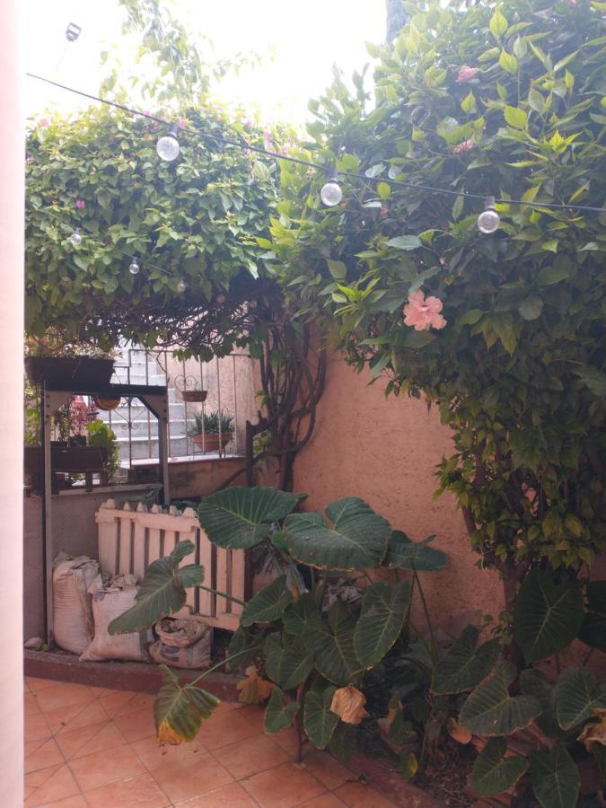 Relax Apartment Mexico City Luaran gambar