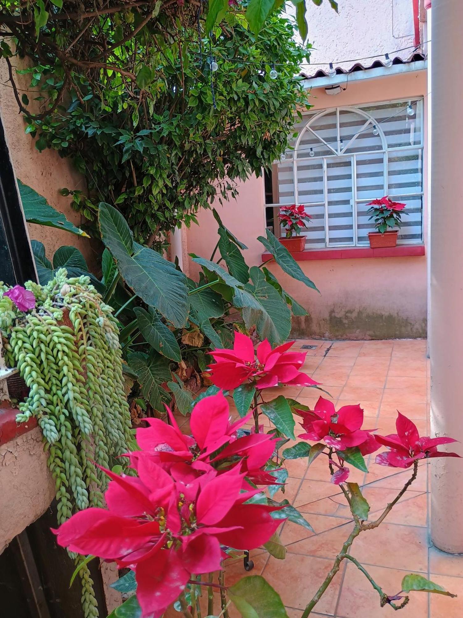 Relax Apartment Mexico City Luaran gambar